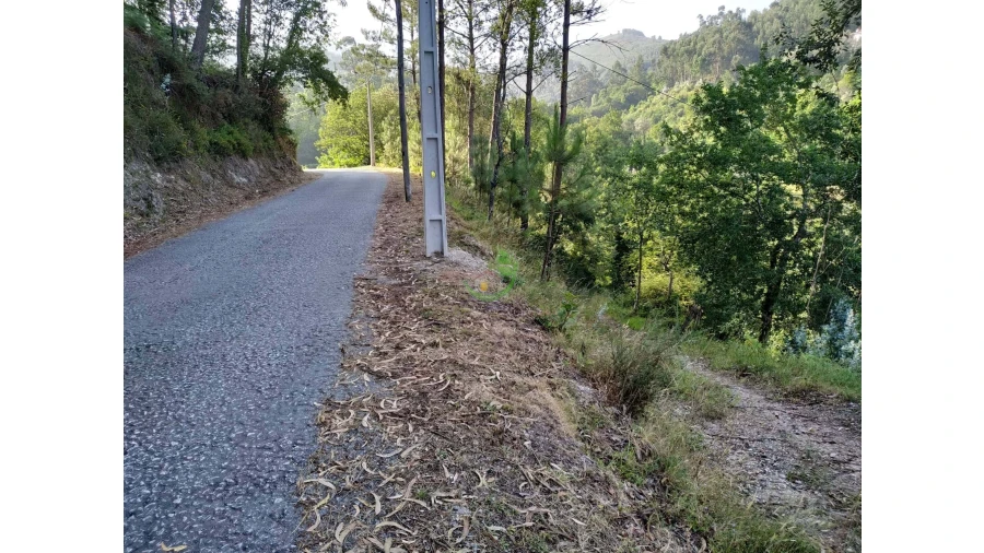 Terreno para Venda em Valbom (São Pedro), Passô e Valbom (São Martinho) Foto 1