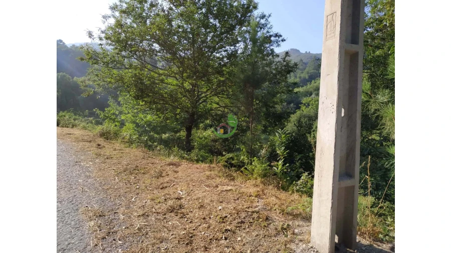 Terreno para Venda em Valbom (São Pedro), Passô e Valbom (São Martinho) Foto 6