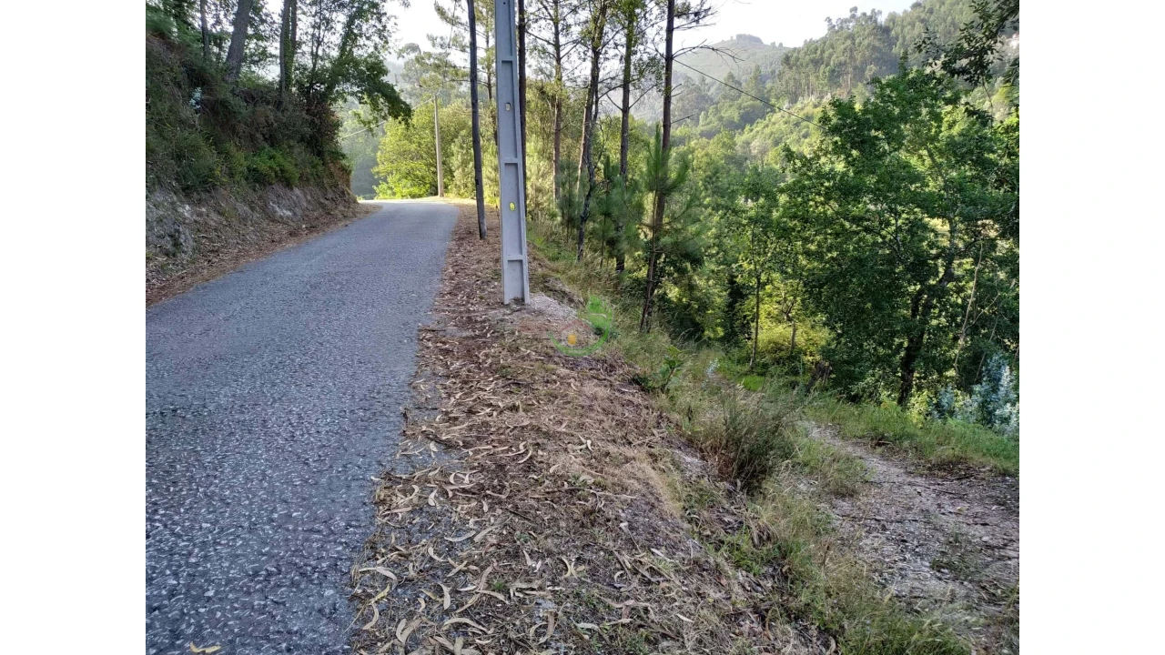 Terreno para Venda em Valbom (São Pedro), Passô e Valbom (São Martinho) Foto 1