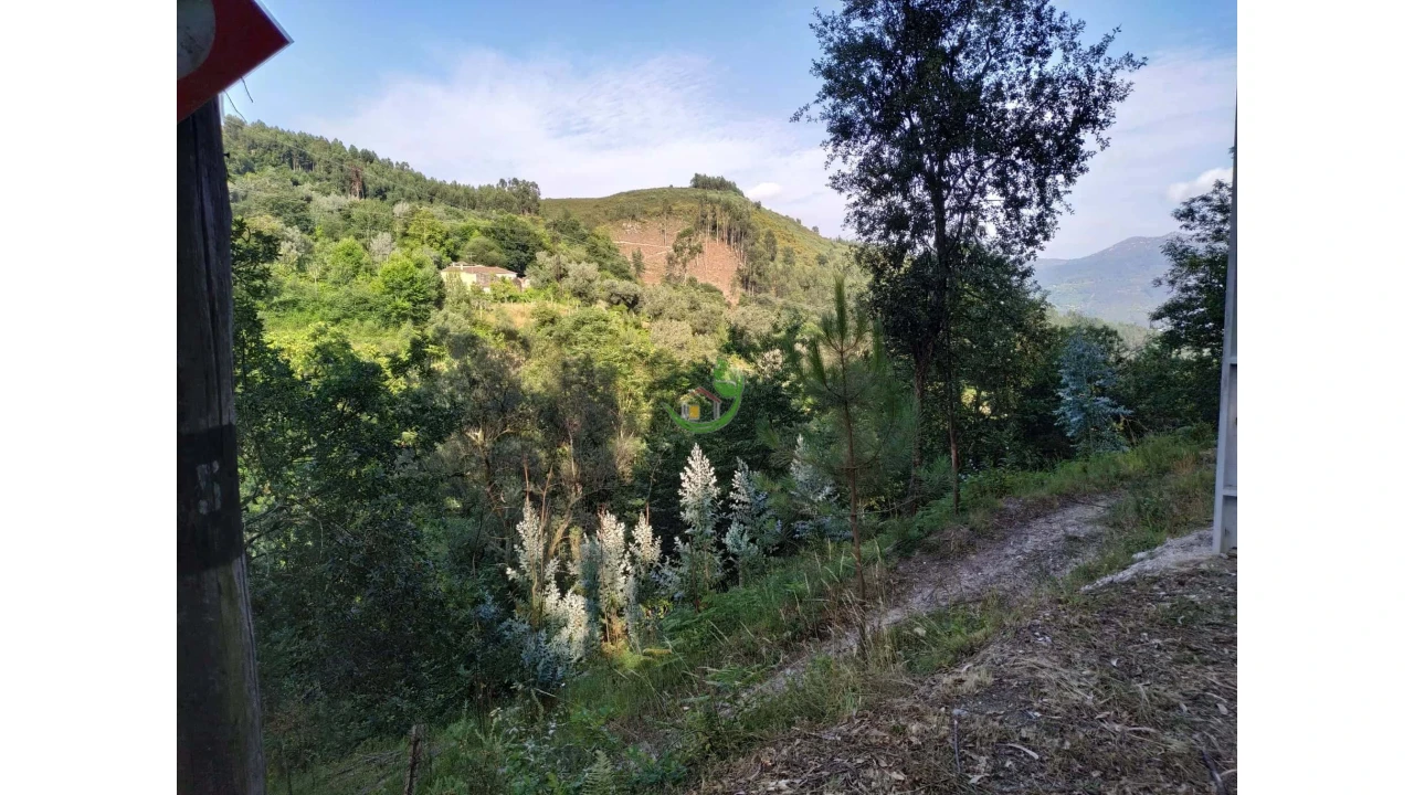Terreno para Venda em Valbom (São Pedro), Passô e Valbom (São Martinho) Foto 5