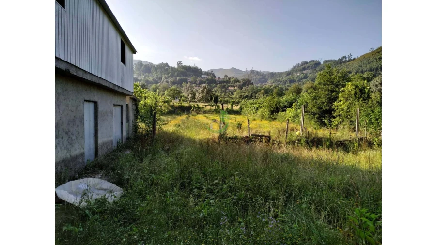 Terreno para Venda em Valbom (São Pedro), Passô e Valbom (São Martinho) Foto 3