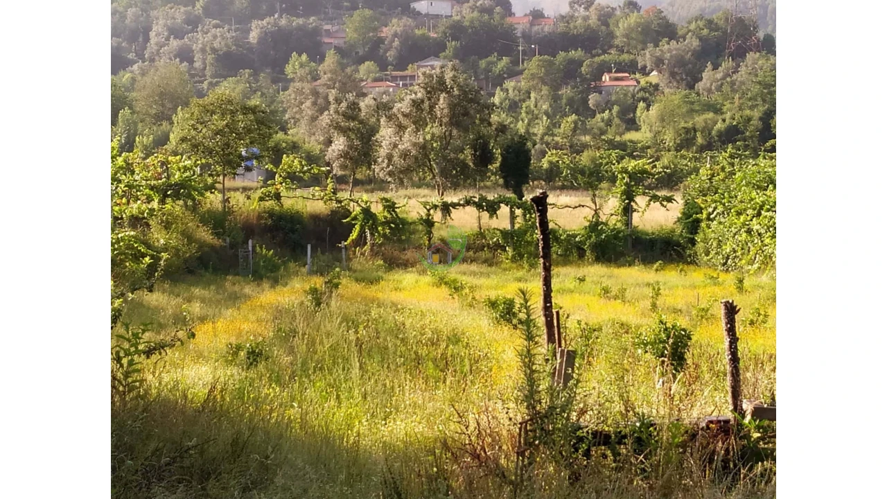 Terreno para Venda em Valbom (São Pedro), Passô e Valbom (São Martinho) Foto 5