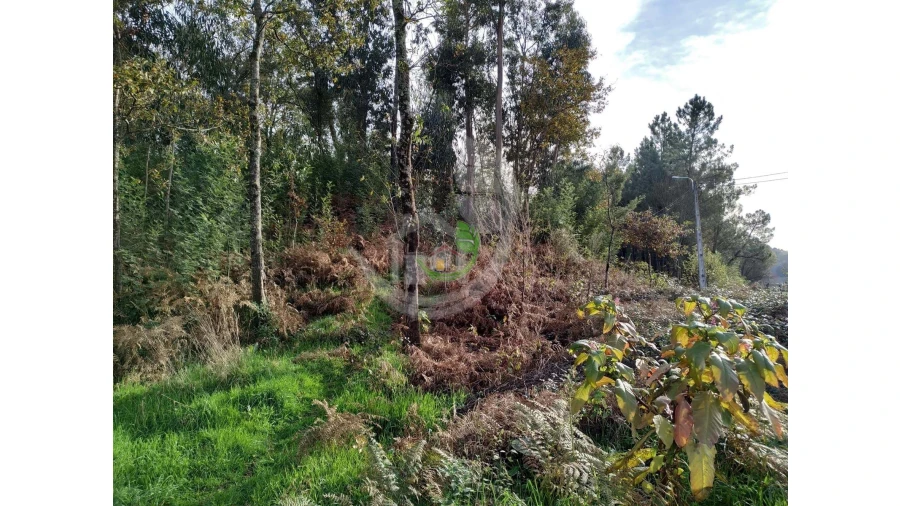 Terreno para Venda em Turiz Foto 5