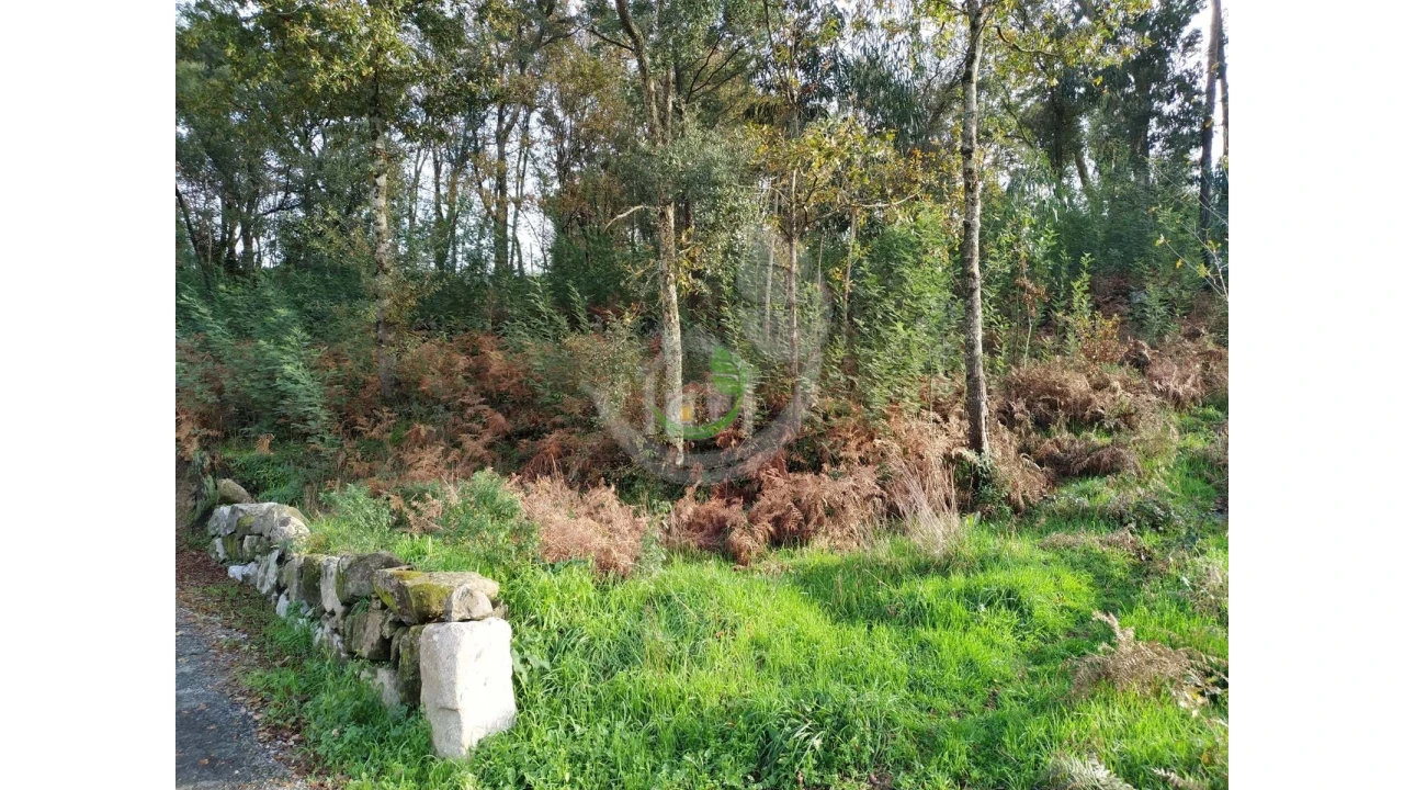 Terreno para Venda em Turiz Foto 3