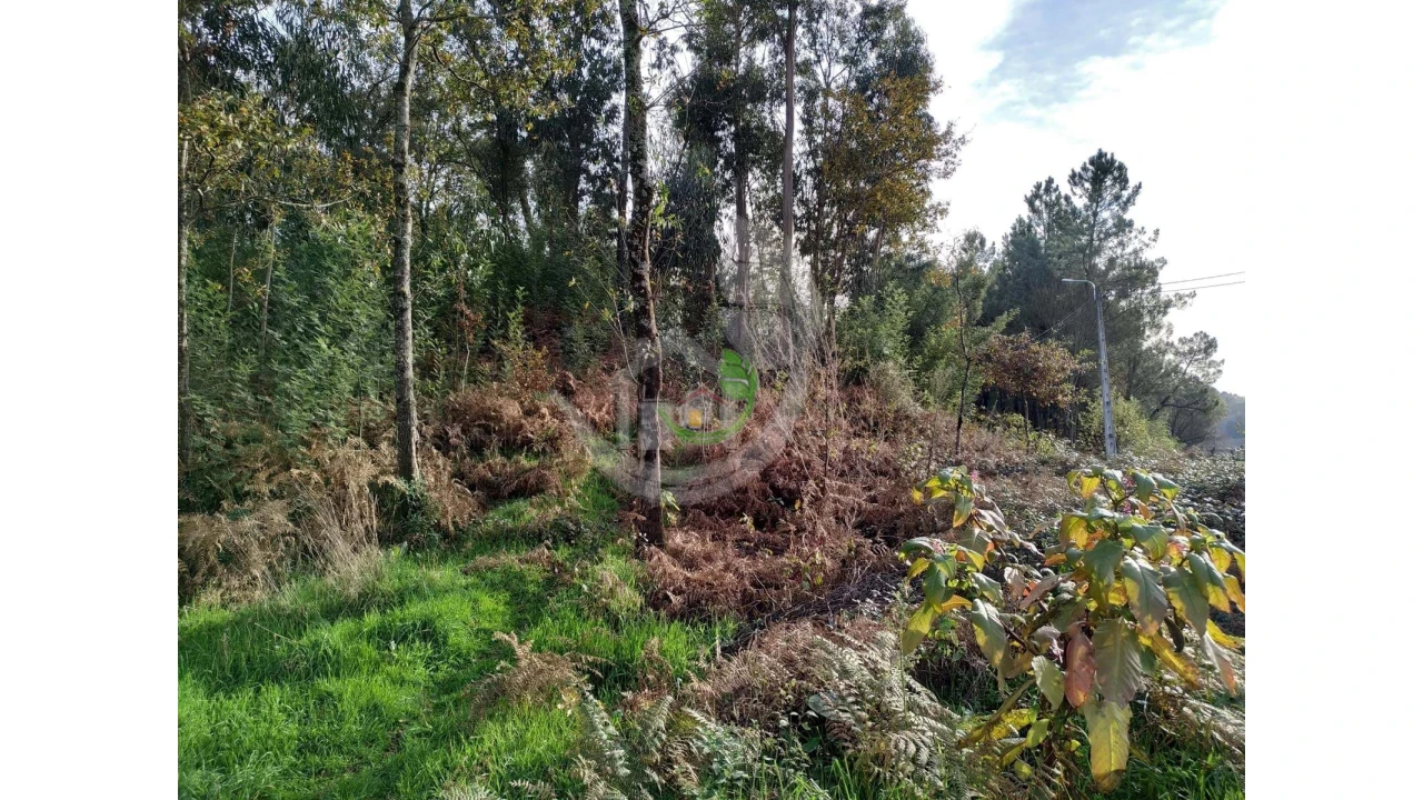 Terreno para Venda em Turiz Foto 5