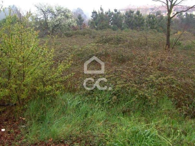 Terreno para Venda em Abraveses Foto 6