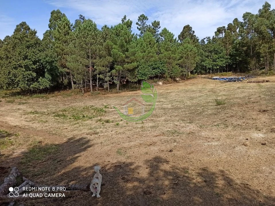 Terreno para Venda em Vieira do Minho Foto 8