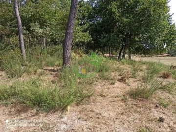 Terreno para Venda em Vieira do Minho
