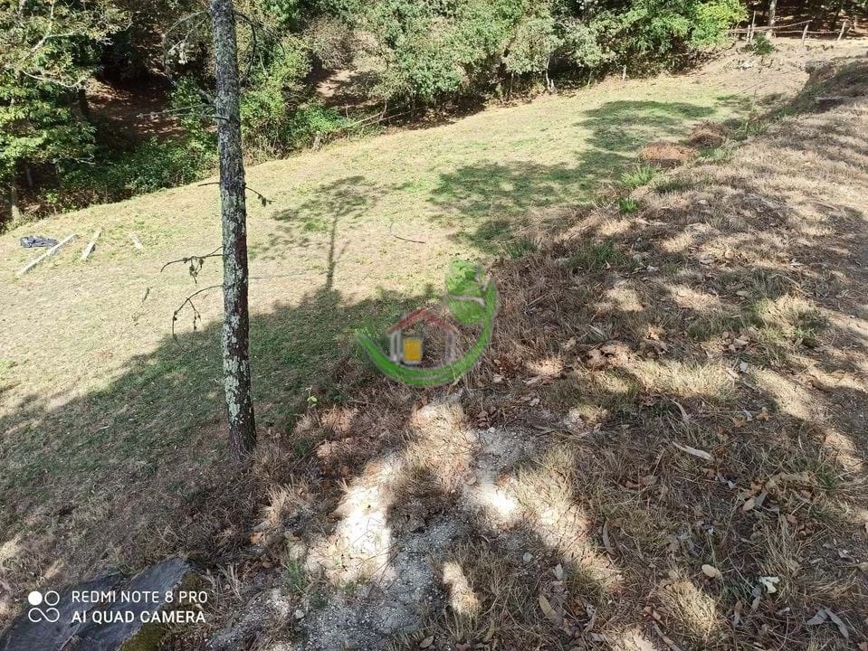 Terreno para Venda em Vieira do Minho Foto 1