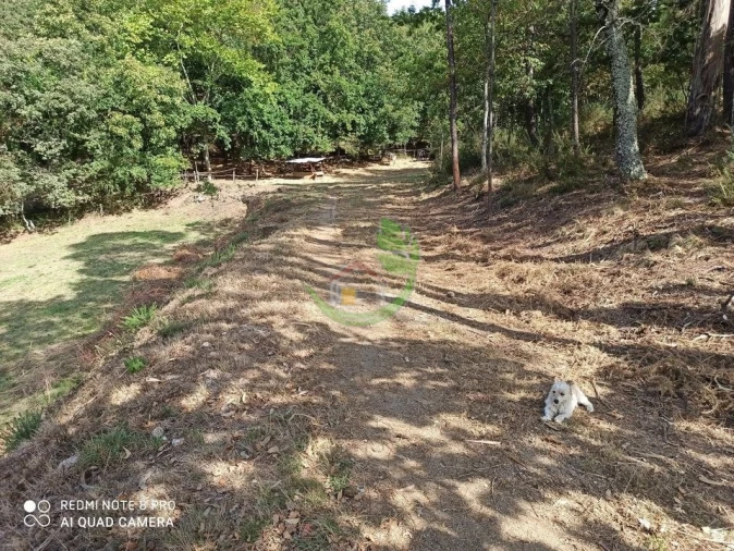 Terreno para Venda em Vieira do Minho Foto 2