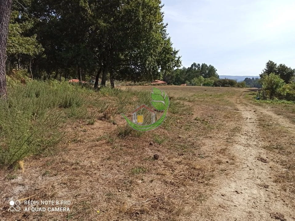 Terreno para Venda em Vieira do Minho Foto 3