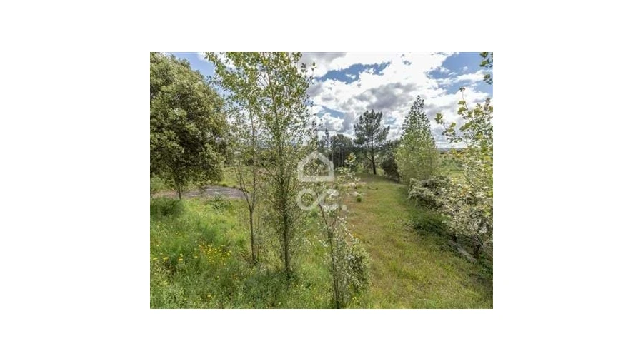 Armazém para Venda em Nossa Senhora das Misericordias Foto 9