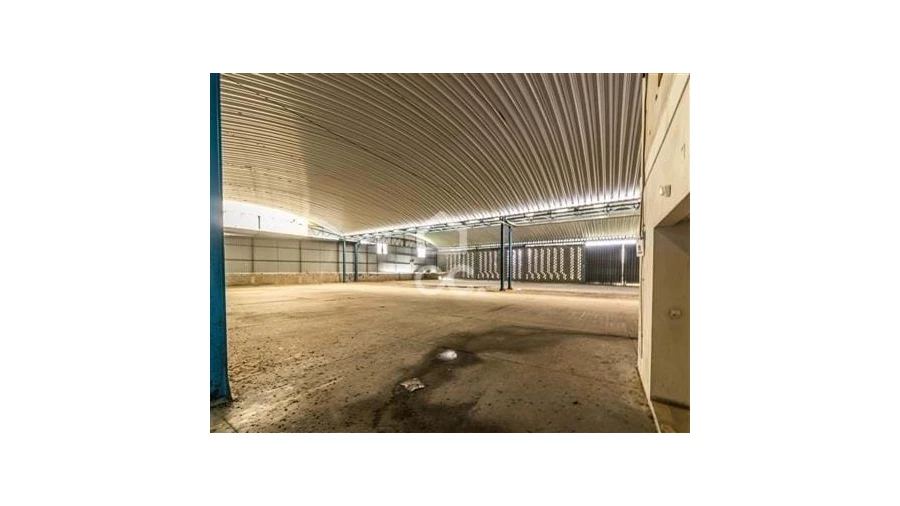 Armazém para Venda em Nossa Senhora das Misericordias Foto 13