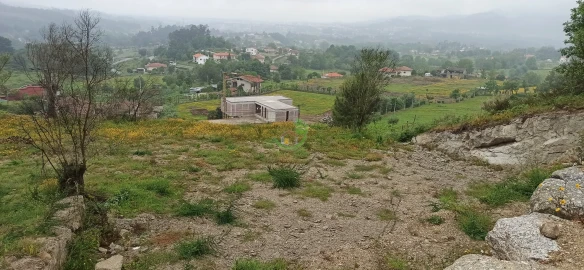 Terreno para Venda em Monsul