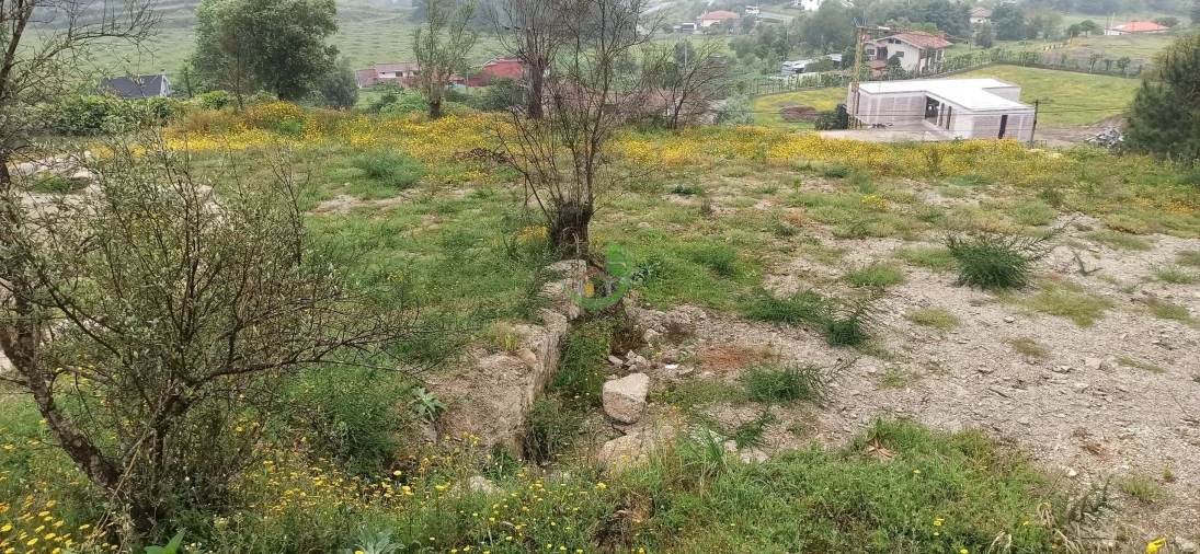 Terreno para Venda em Monsul
