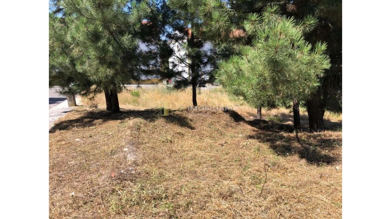 Terreno para Venda em Pego Foto 2