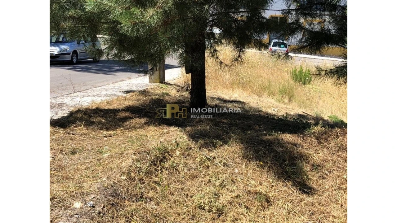 Terreno para Venda em Pego Foto 3