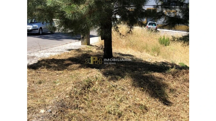 Terreno para Venda em Pego Foto 3