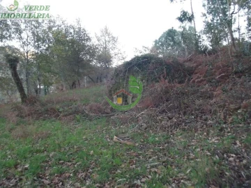 Terreno para Venda em Ribeira do Neiva