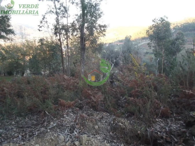 Terreno para Venda em Ribeira do Neiva Foto 4