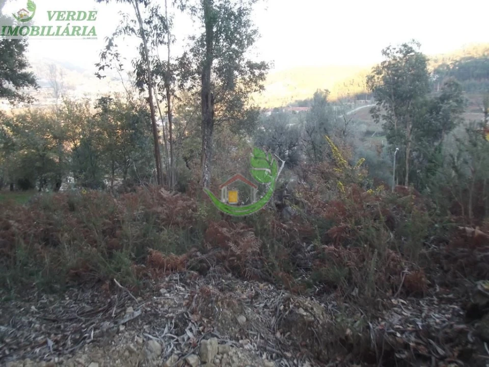 Terreno para Venda em Ribeira do Neiva Foto 4