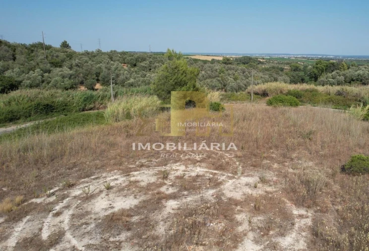 Terreno para Venda em Marvila, Ribeira Santarém, São Salvador, São Nicolau Foto 5