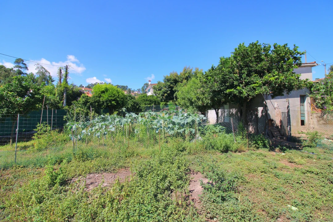 Terreno para Venda em Vila Verde e Barbudo Foto 4