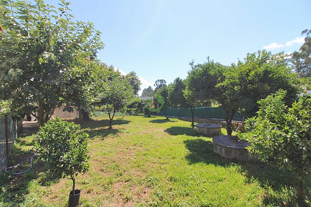 Terreno para Venda em Vila Verde e Barbudo Foto 1
