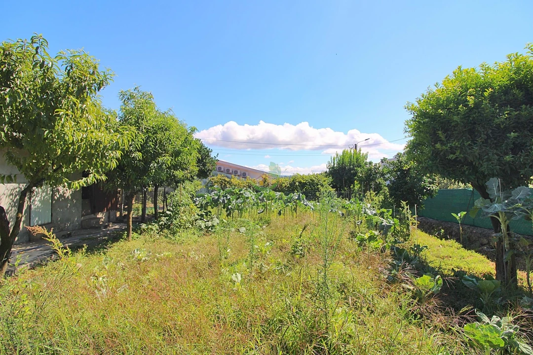 Terreno para Venda em Vila Verde e Barbudo Foto 3