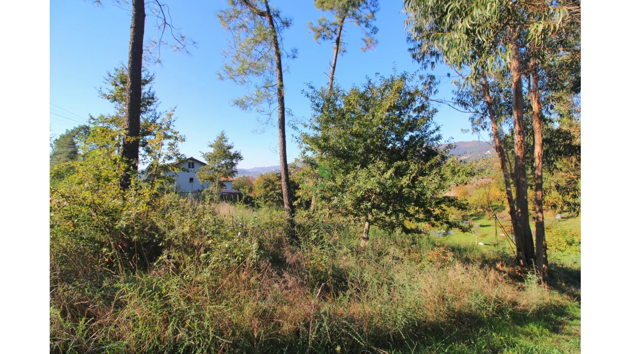 Terreno para Venda em Pico Foto 3