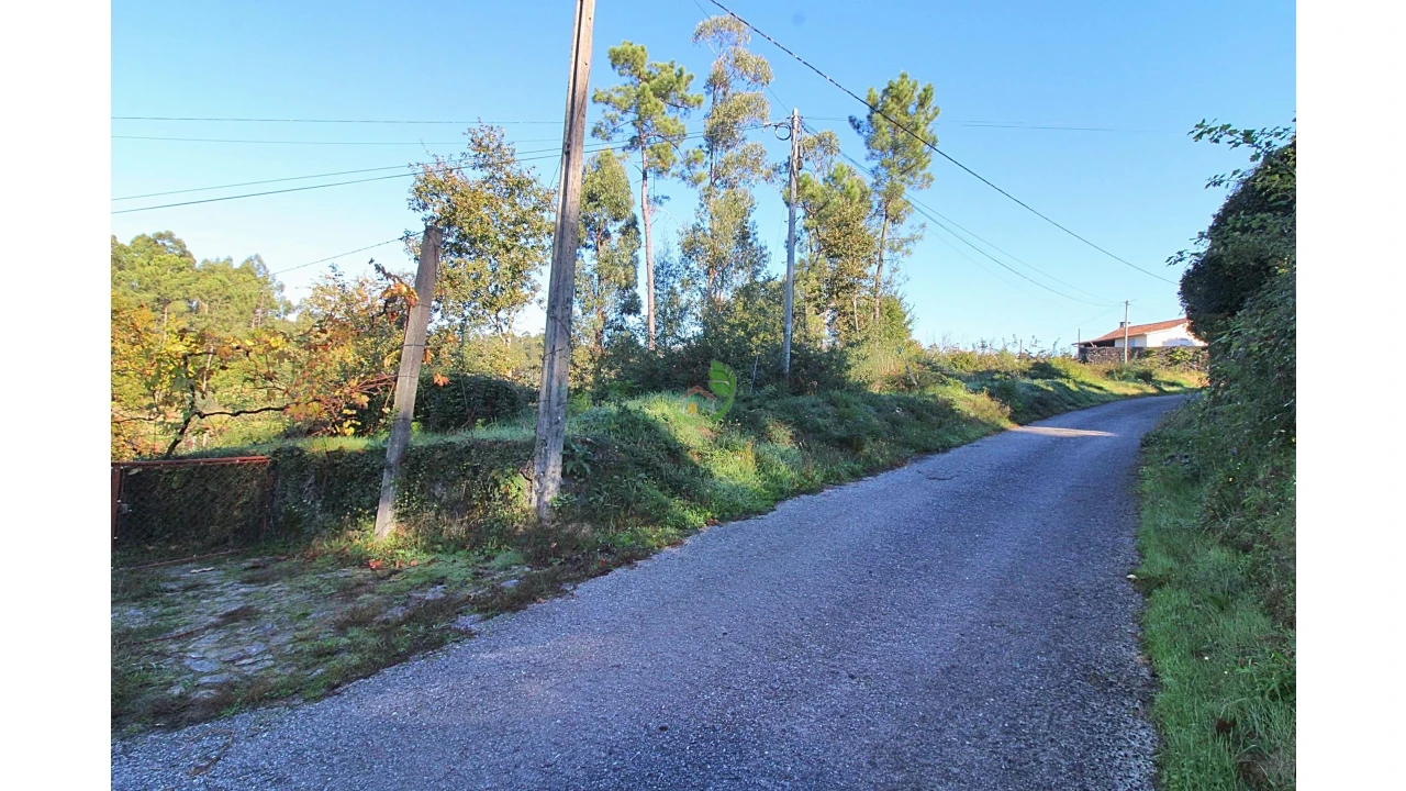 Terreno para Venda em Pico Foto 2