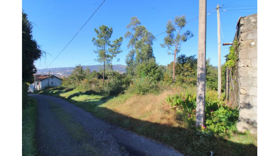 Terreno para Venda em Pico Foto 1