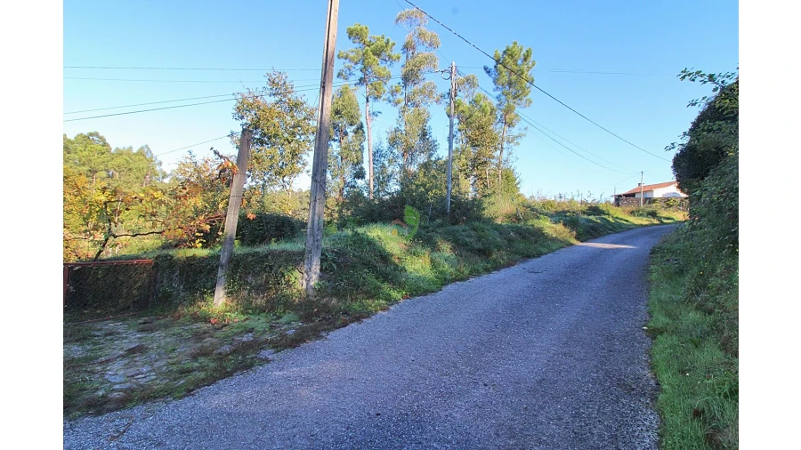 Terreno para Venda em Pico Foto 2