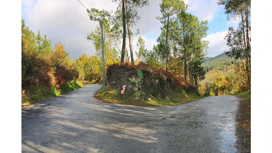 Terreno para Venda em Pico Foto 4