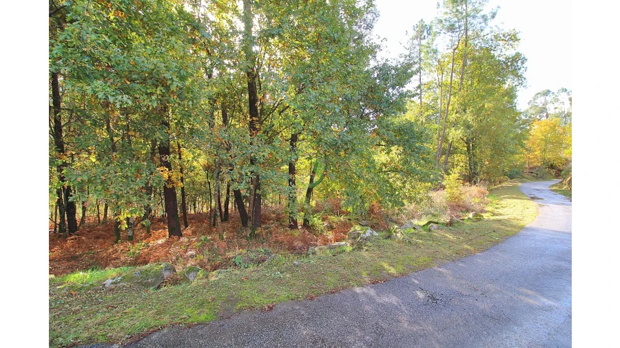 Terreno para Venda em Pico Foto 1