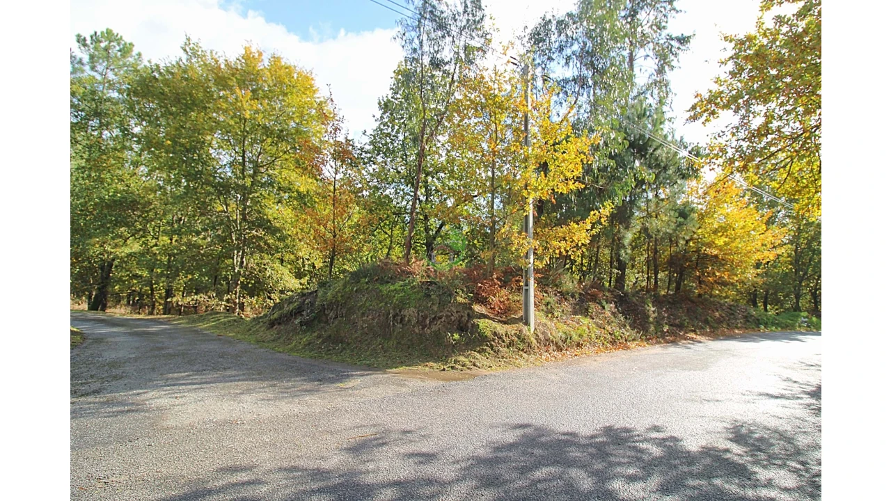 Terreno para Venda em Pico Foto 2