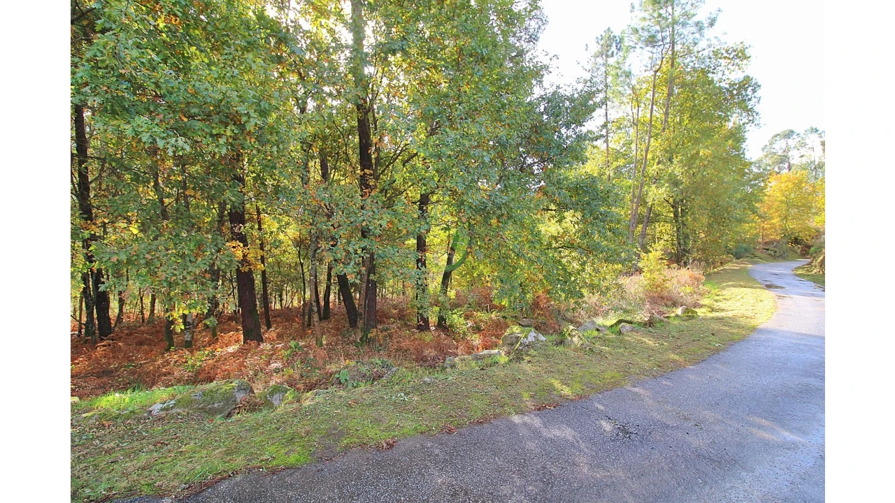 Terreno para Venda em Pico Foto 1