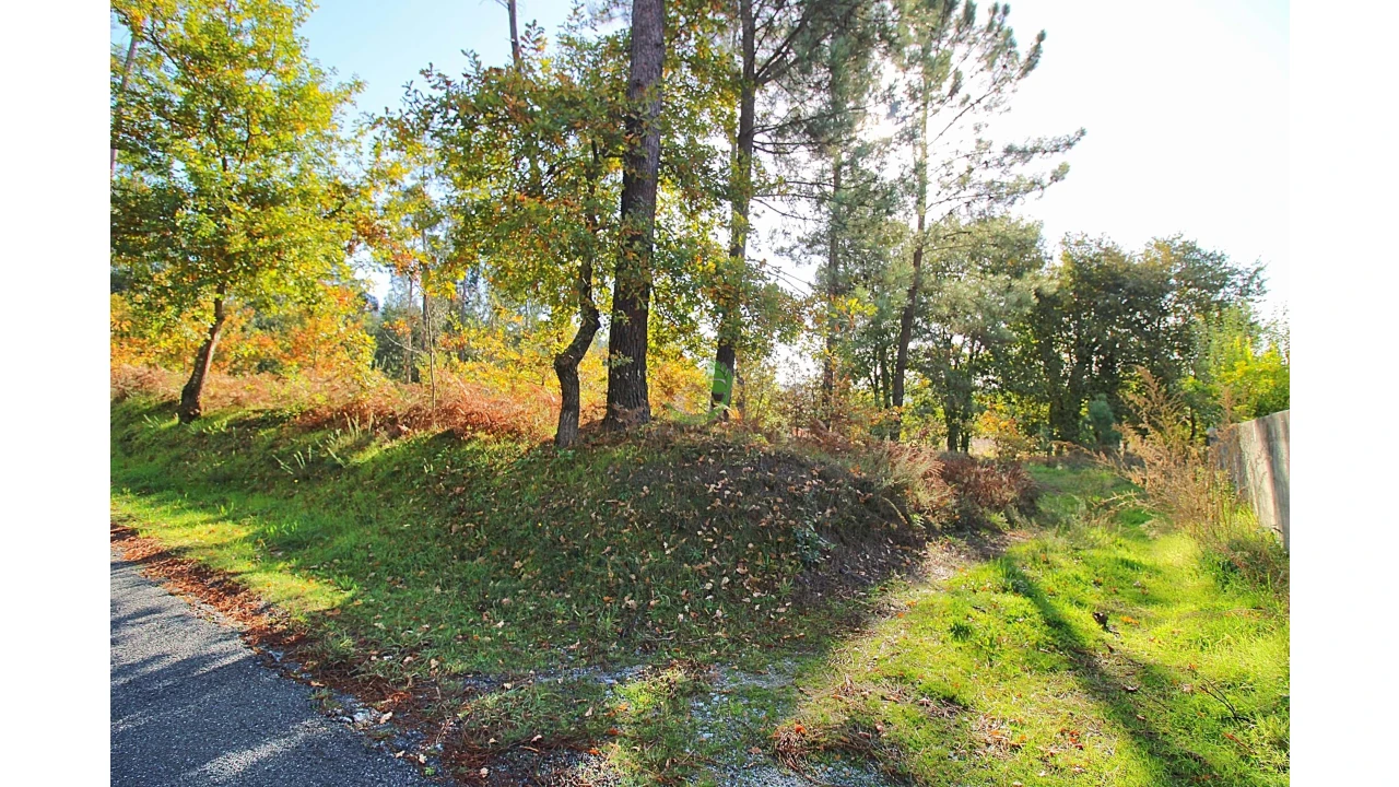 Terreno para Venda em Pico Foto 3