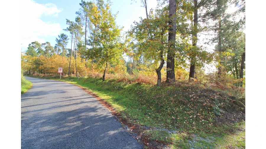 Terreno para Venda em Pico Foto 2