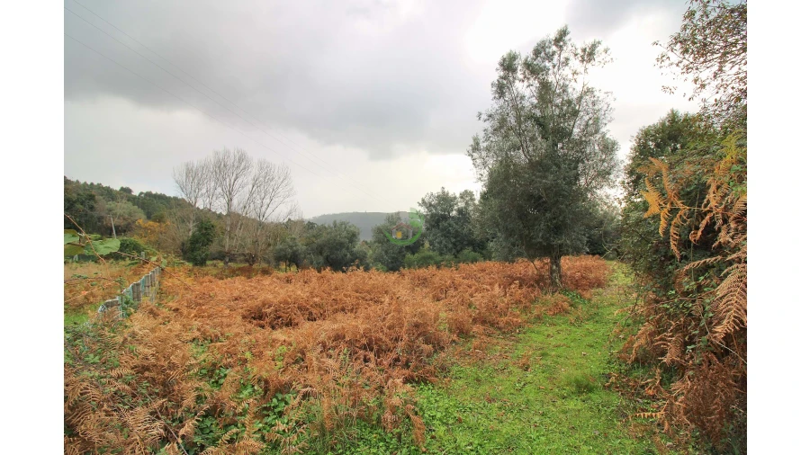 Terreno para Venda em Carreiras (São Miguel) e Carreiras (Santiago) Foto 2