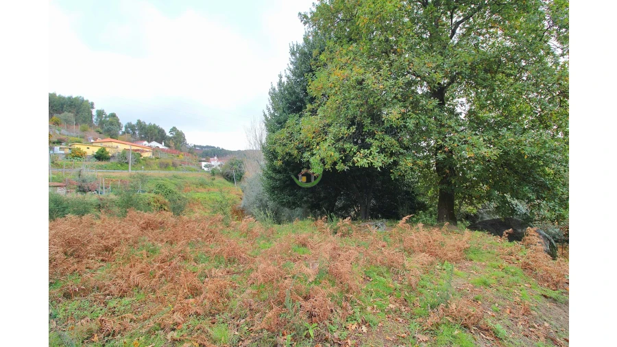 Terreno para Venda em Carreiras (São Miguel) e Carreiras (Santiago) Foto 4