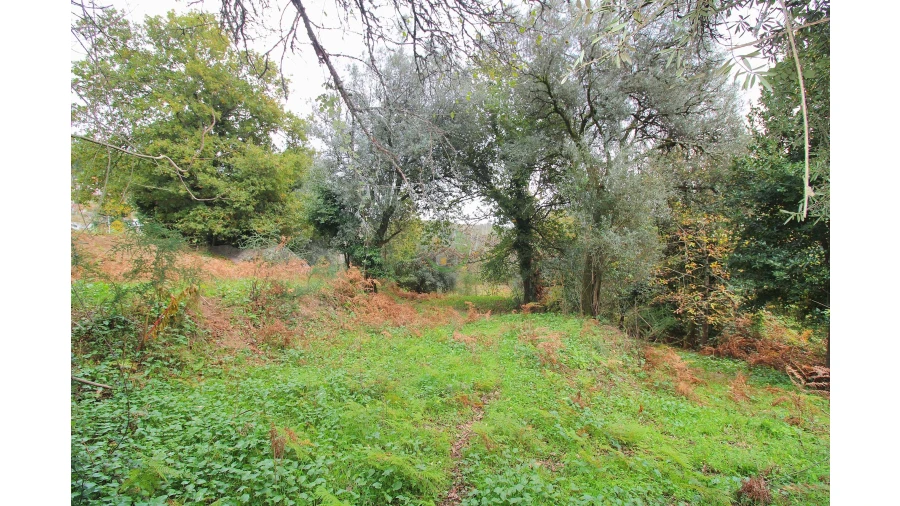 Terreno para Venda em Carreiras (São Miguel) e Carreiras (Santiago) Foto 5
