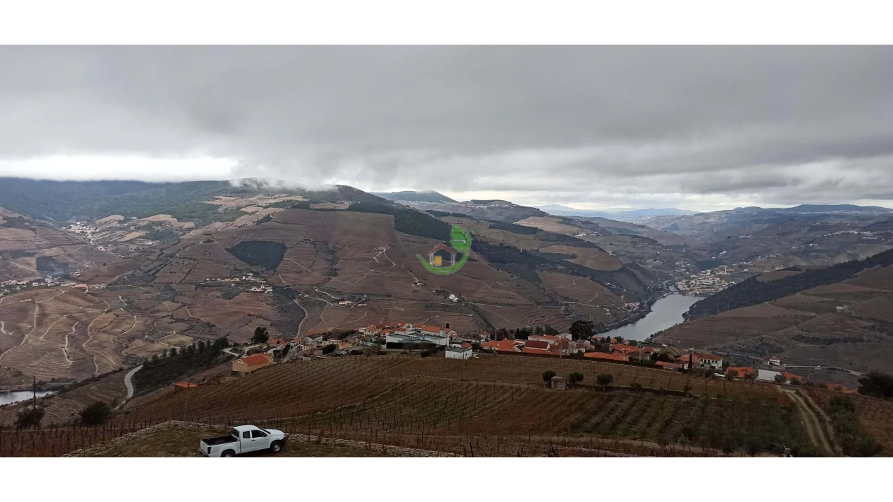 Terreno para Venda em Valença do Douro Foto 11