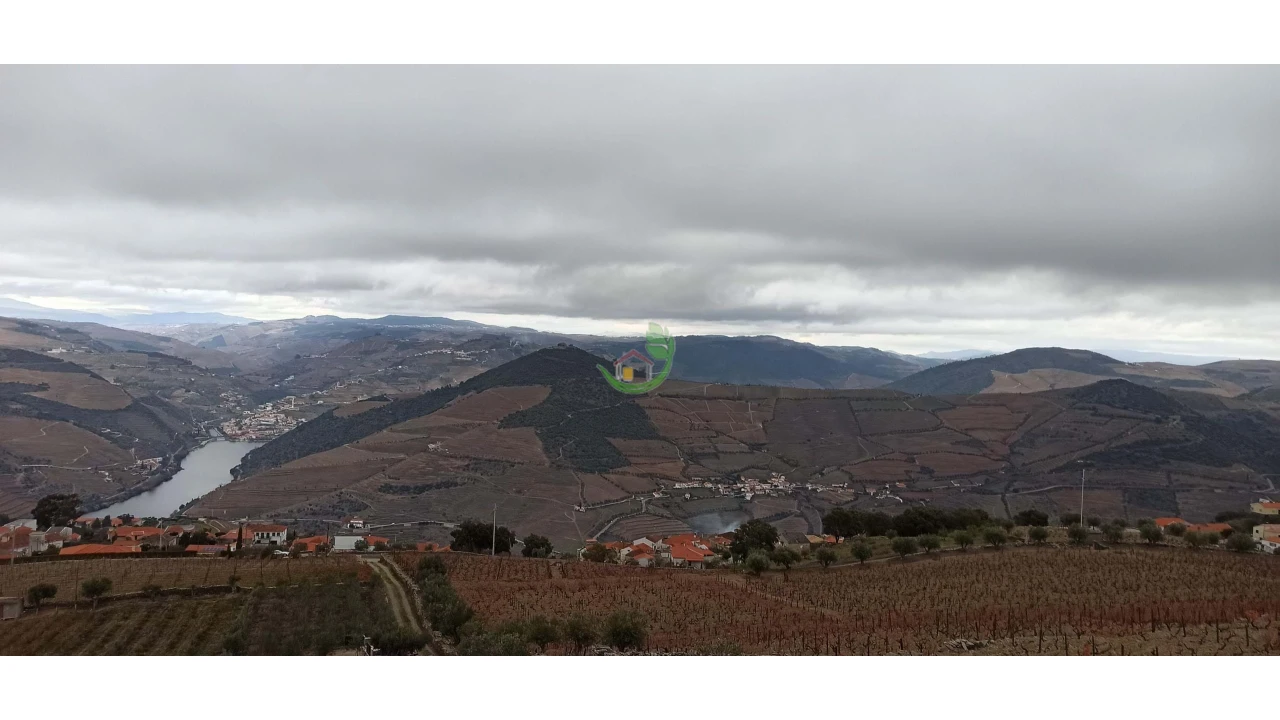 Terreno para Venda em Valença do Douro Foto 12