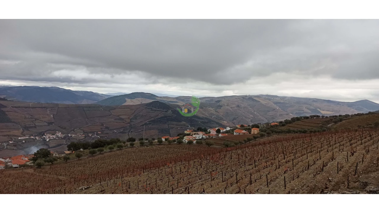 Terreno para Venda em Valença do Douro Foto 13