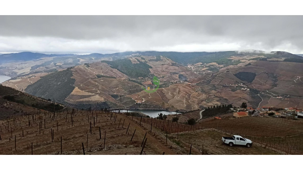 Terreno para Venda em Valença do Douro Foto 10