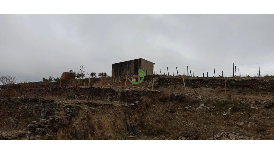 Terreno para Venda em Valença do Douro Foto 7