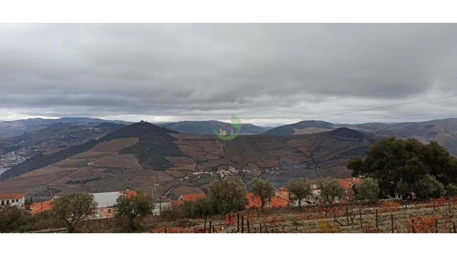 Terreno para Venda em Valença do Douro Foto 3