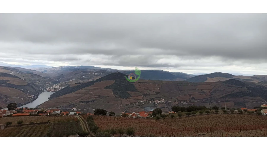 Terreno para Venda em Valença do Douro Foto 12