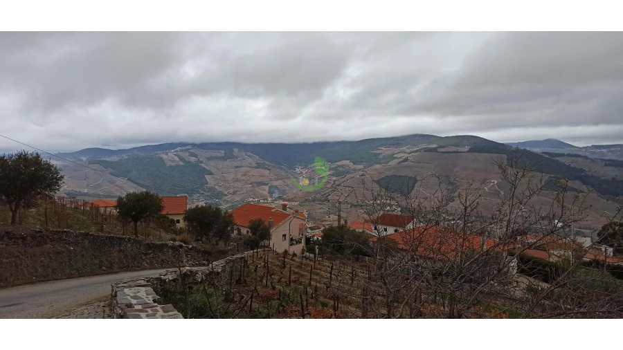 Terreno para Venda em Valença do Douro Foto 4